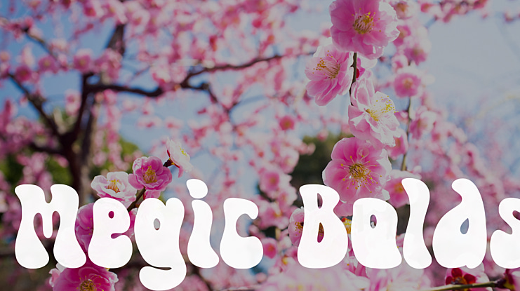 Megic Bolds Font