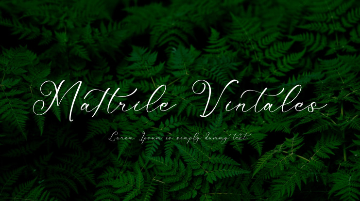 Mattrile Vintales Font