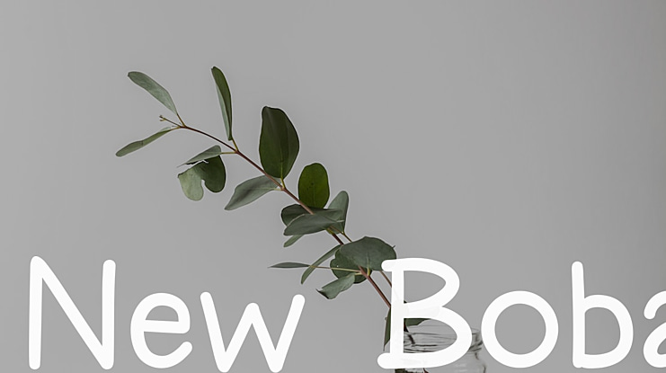 New Boba Font