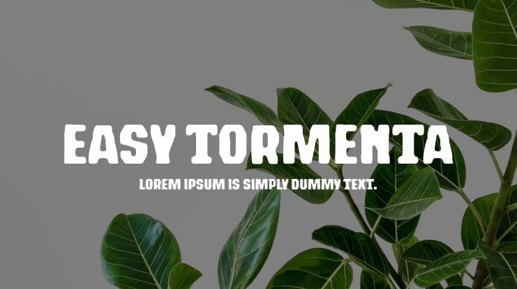 easy tormenta Font