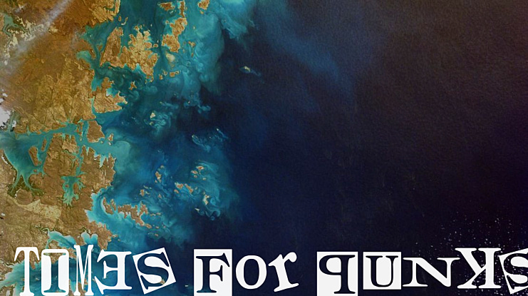Times for Punks Font