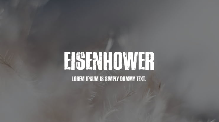 Eisenhower Font