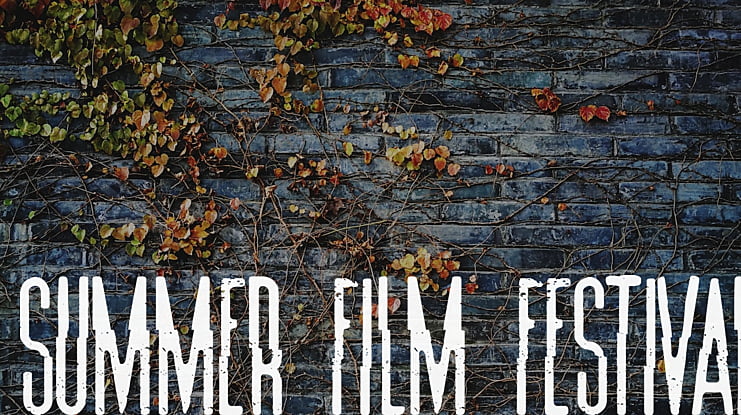 Summer Film Festival Font