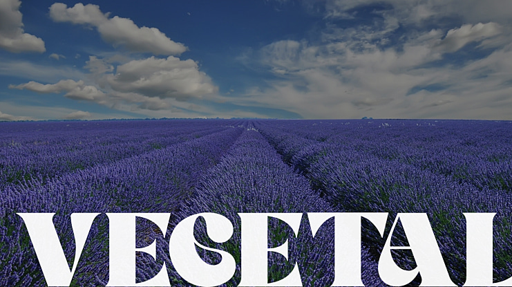 VEGETAL Font