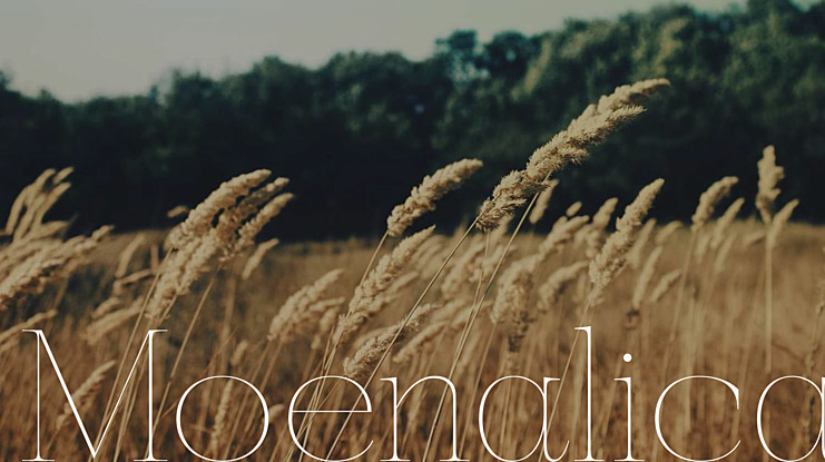 Moenalica Font