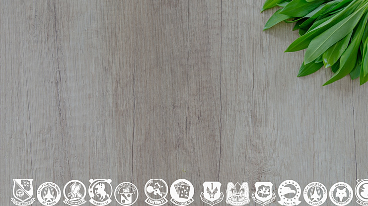 Wings of America Font