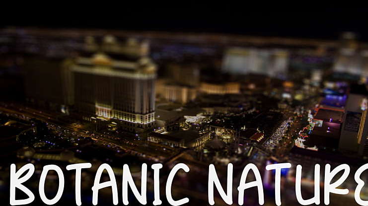 BOTANIC NATURE Font Family