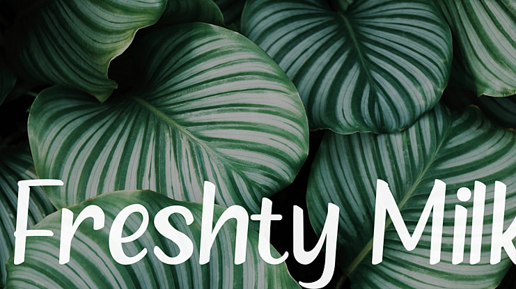 Freshty Milk Font