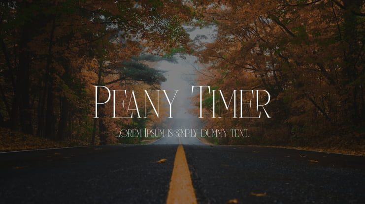 Peany Timer Font