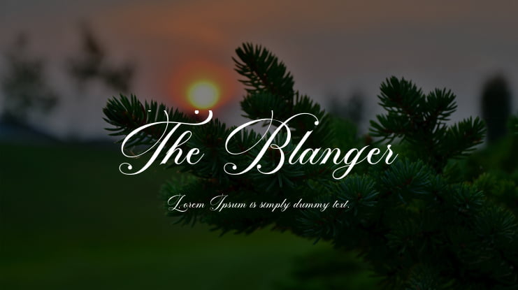 The Blanger Font Family