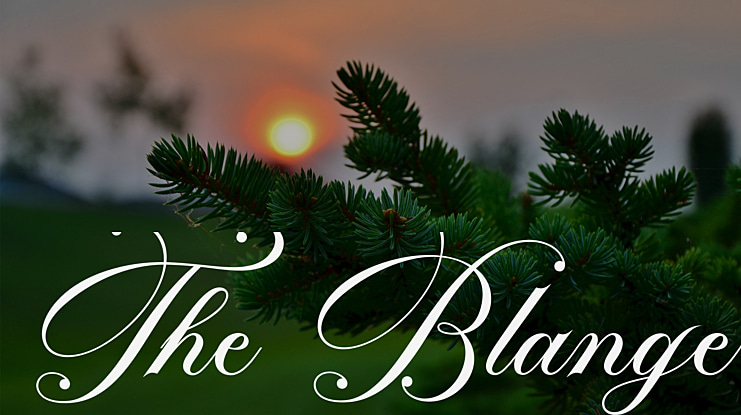 The Blanger Font Family