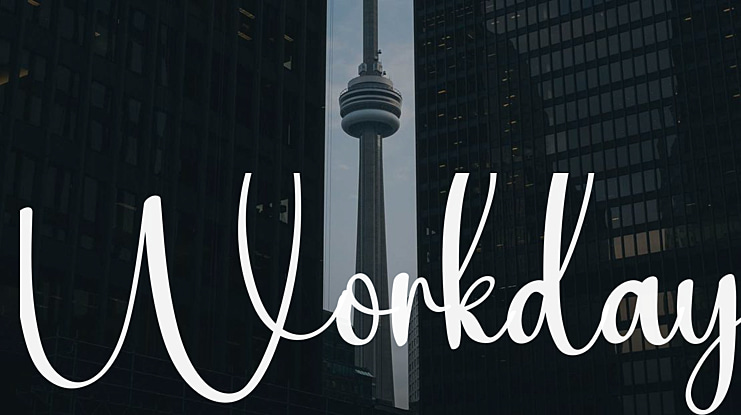 Workday Font