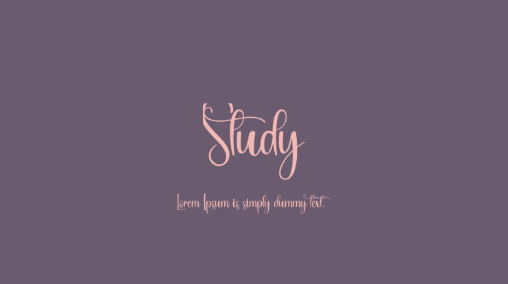 Study Font