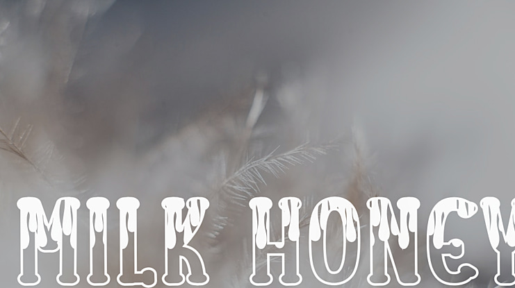 Milk Honey Font