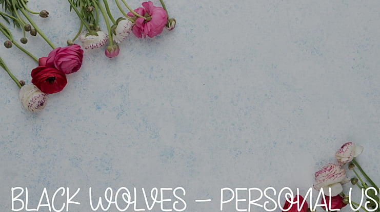 Black Wolves - Personal Use Font