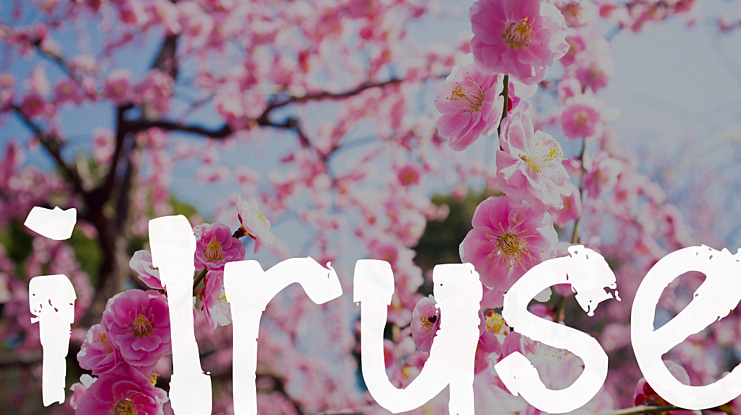 i Iruse Font