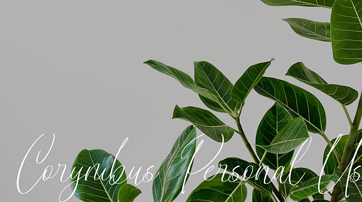 Corymbus Personal Use Font