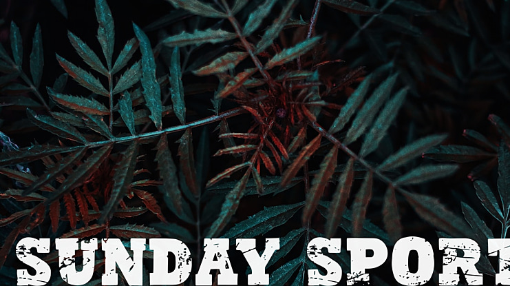 Sunday Sport Font