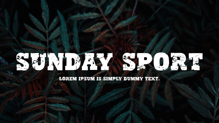 Sunday Sport Font