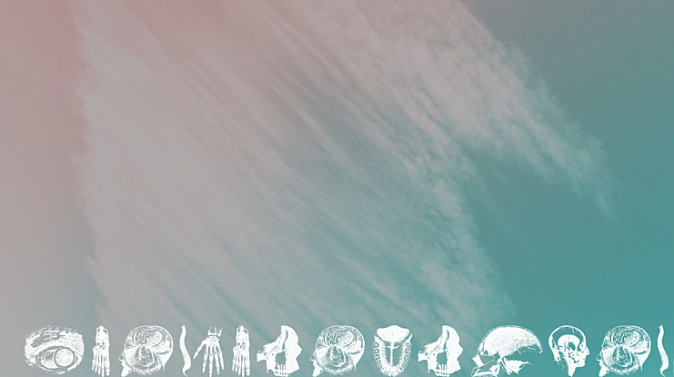 AnatomiaDigbats Font