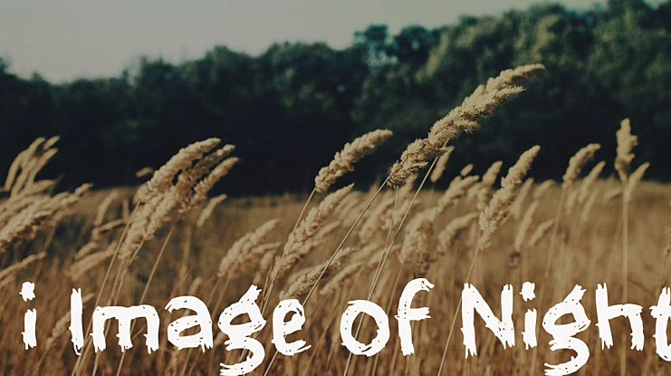 i Image of Night Font