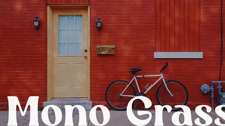 Mono Grass Font