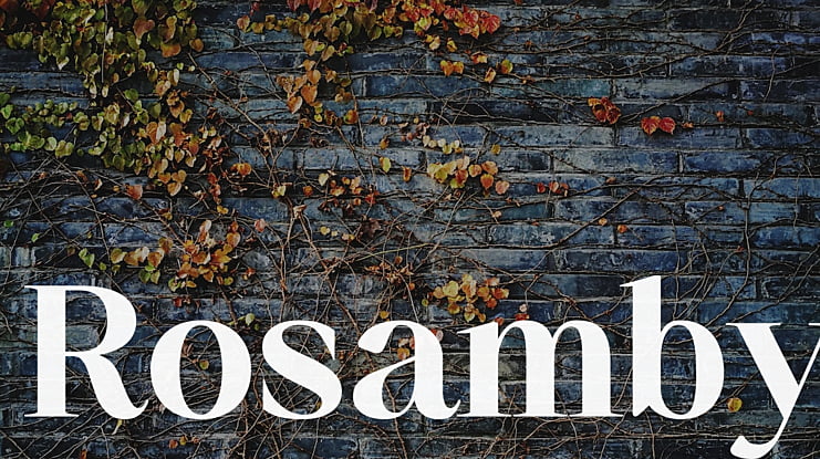 Rosamby Font