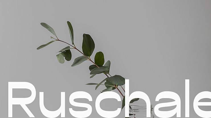 Ruschale Font