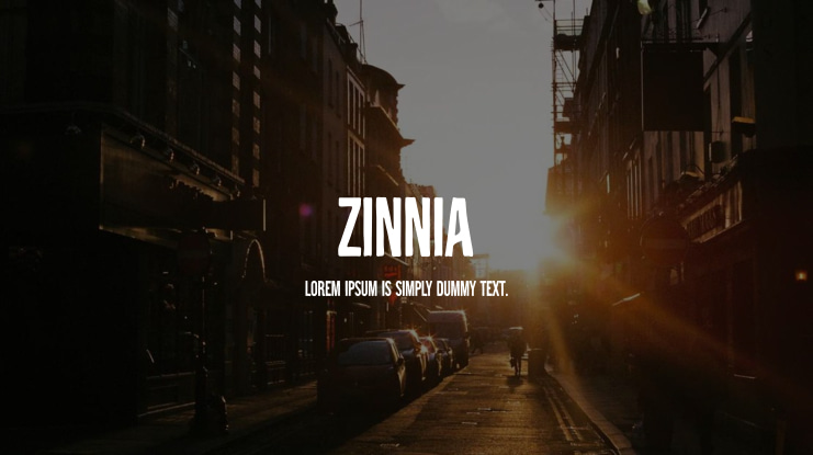 Zinnia Font