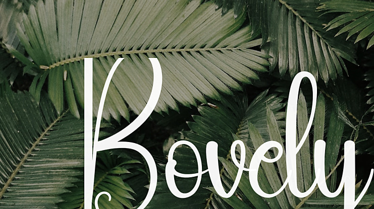 Bovely Font