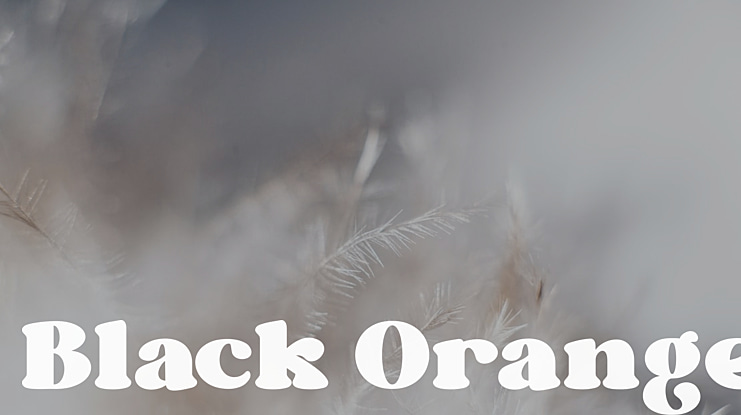 Black Orange Font