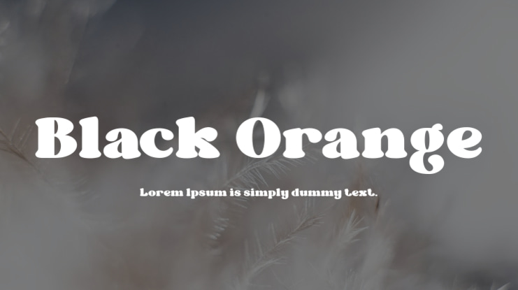 Black Orange Font