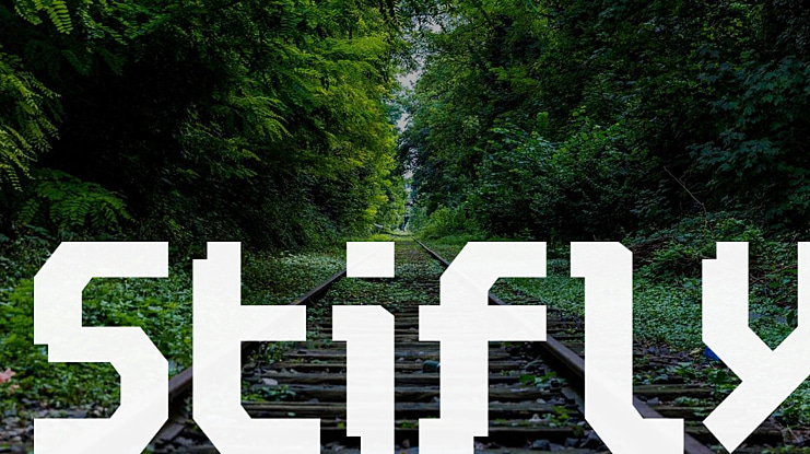 Stifly Font