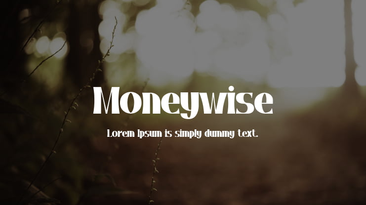 Moneywise Font