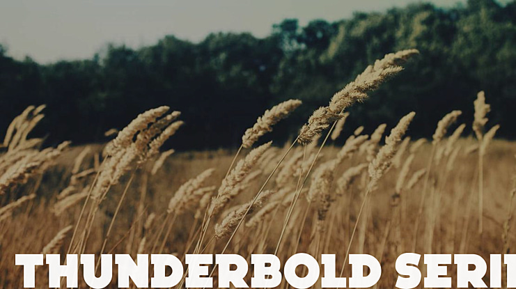 Thunderbold Serif Font