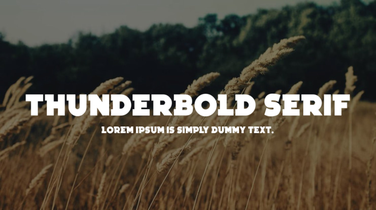 Thunderbold Serif Font