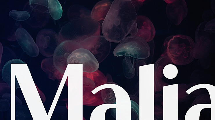 Malia Font