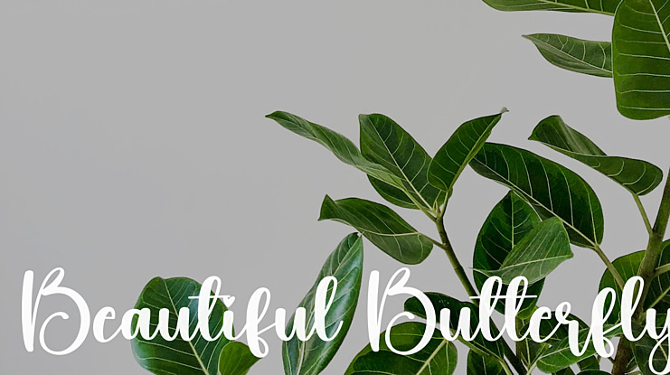 Beautiful Butterfly Font
