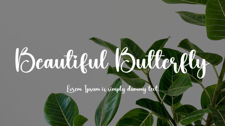 Beautiful Butterfly Font