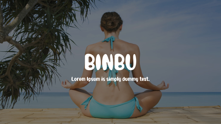 BINBU Font