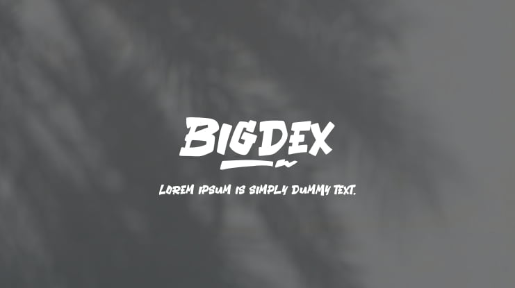 Bigdex Font