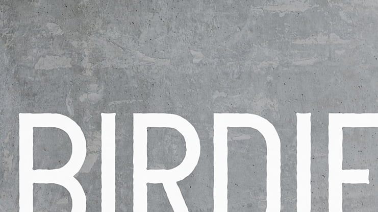 Birdie Font