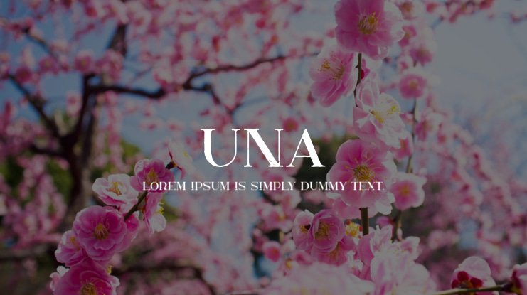 Una Font