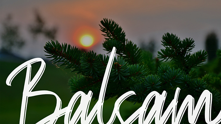 Balsam Font