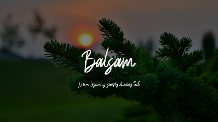 Balsam Font