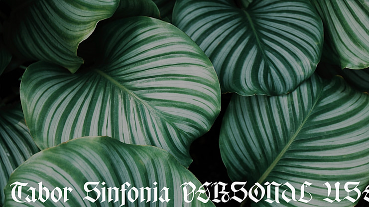 Tabor Sinfonia PERSONAL USE Font