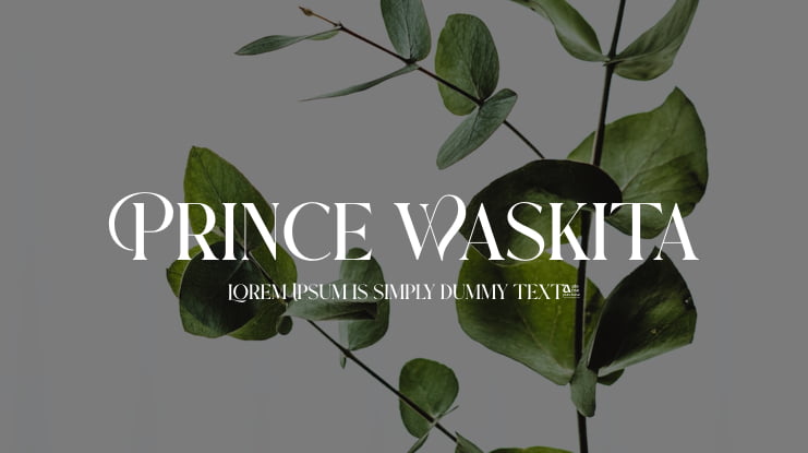Prince Waskita Font