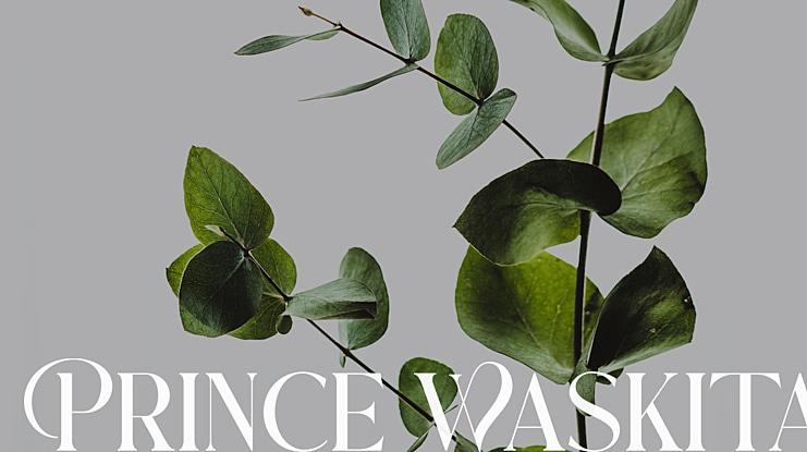 Prince Waskita Font