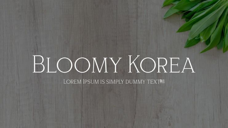 Bloomy Korea Font