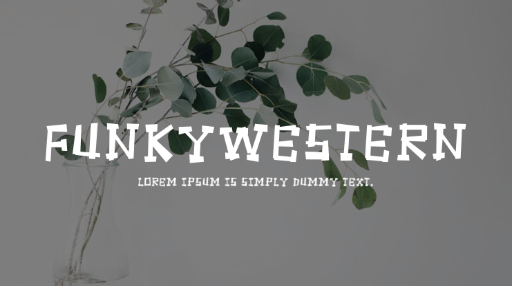 FunkyWestern Font Family